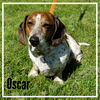 Oscar