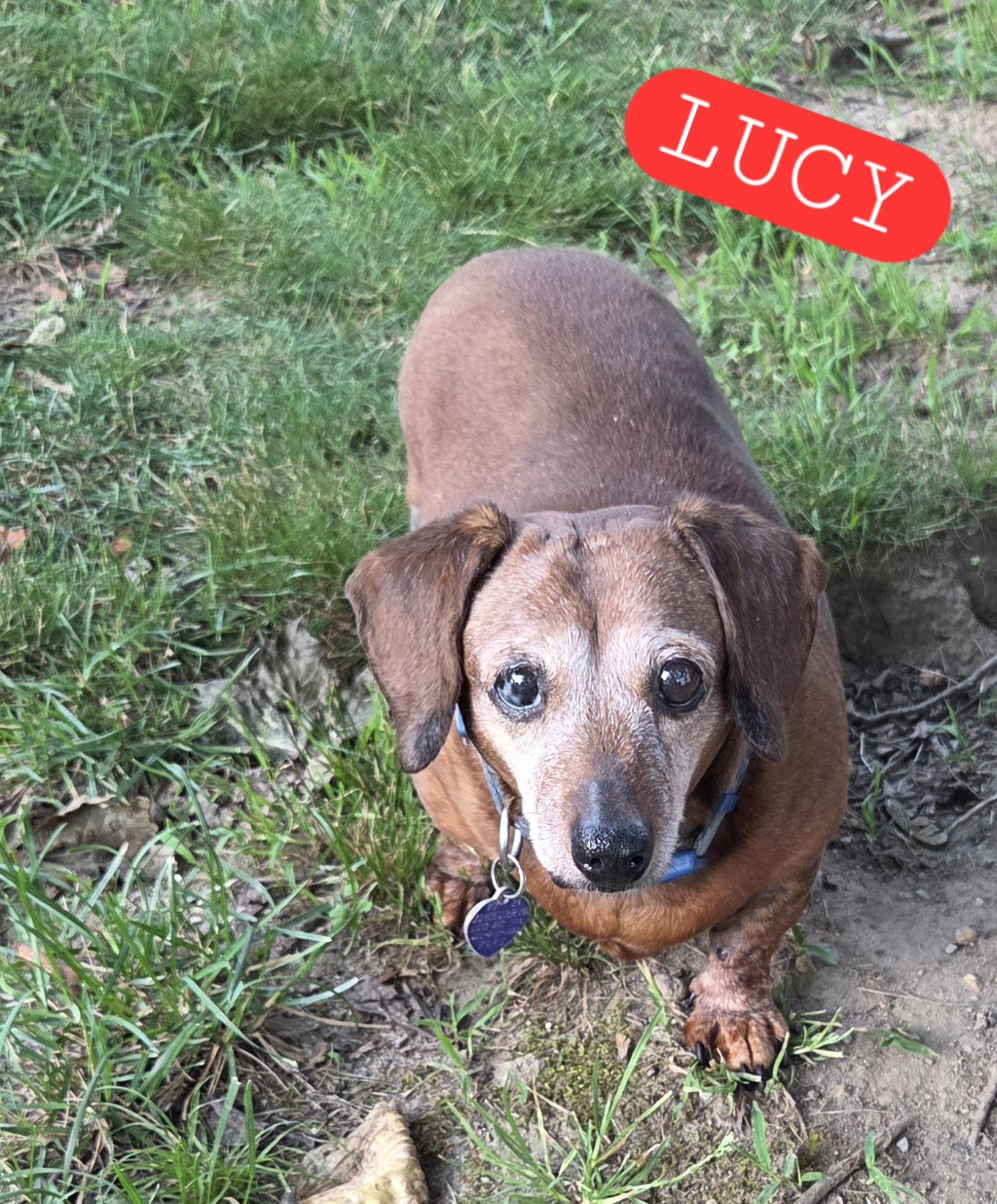 Lucy