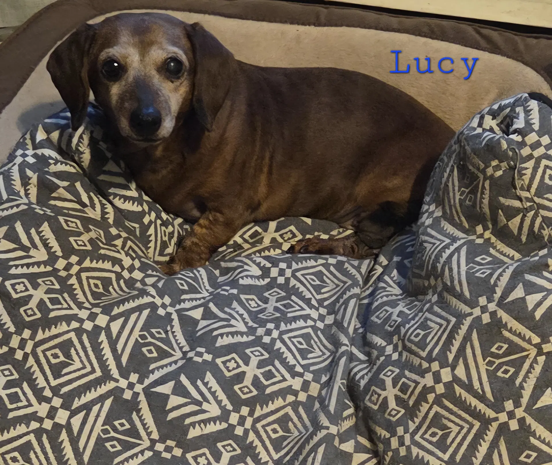 Lucy image 3
