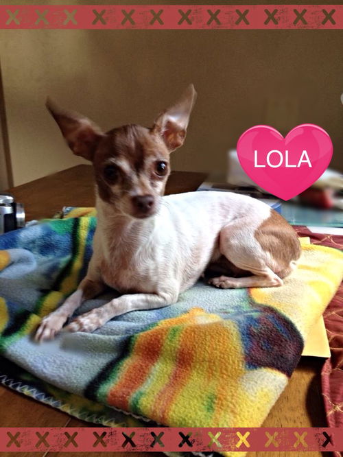 Lola