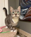 Peppermint Patty - Photo 2