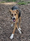 Coby - Photo 2