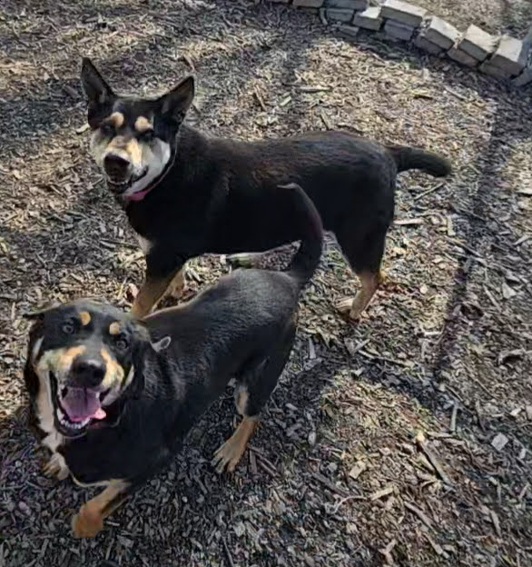 Susie and June Bug