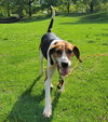 Buddy - Photo 1