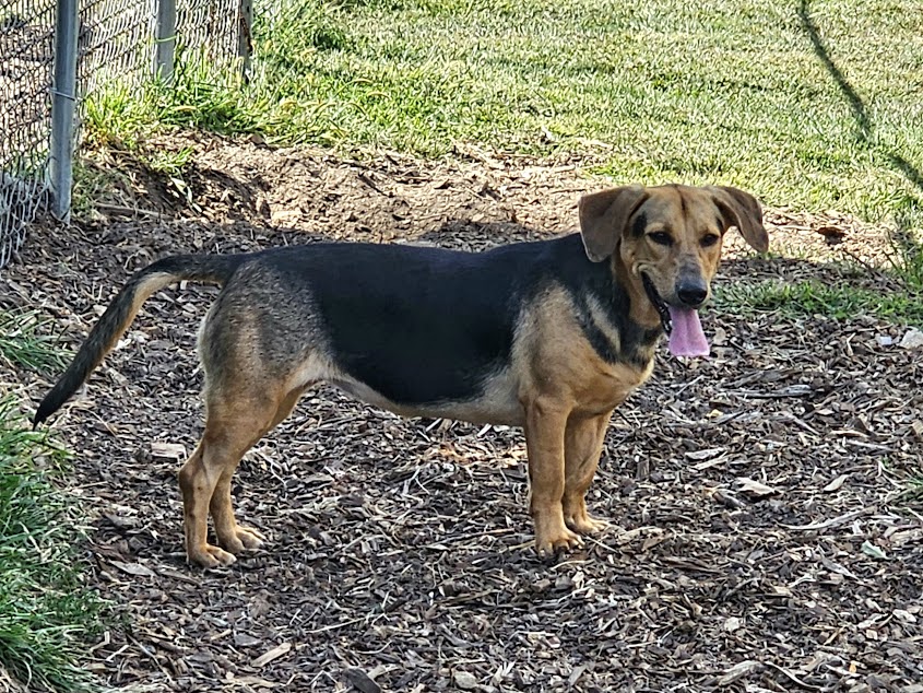 Claire