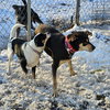 Gabbrielle - Photo 4