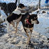 Hunter (and Gabbie) - Photo 1