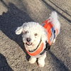 Max - Photo 6