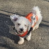 Max - Photo 5