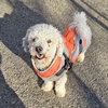 Max - Photo 7