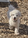 Max - Photo 1