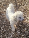 Max - Photo 3