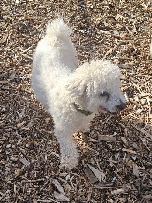 Max photo 3