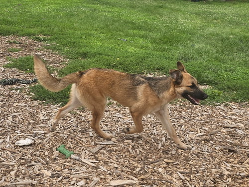 Maya photo 4