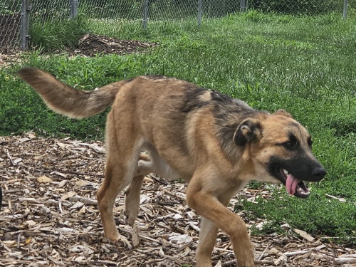 Maya photo 6