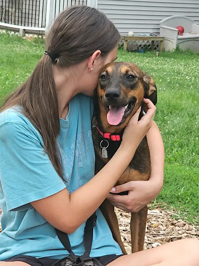 Mabel image 2