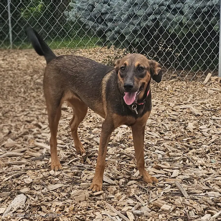 Mabel image 3