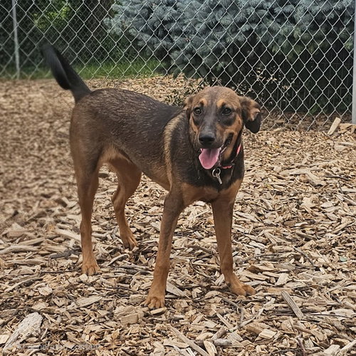 Mabel photo 3