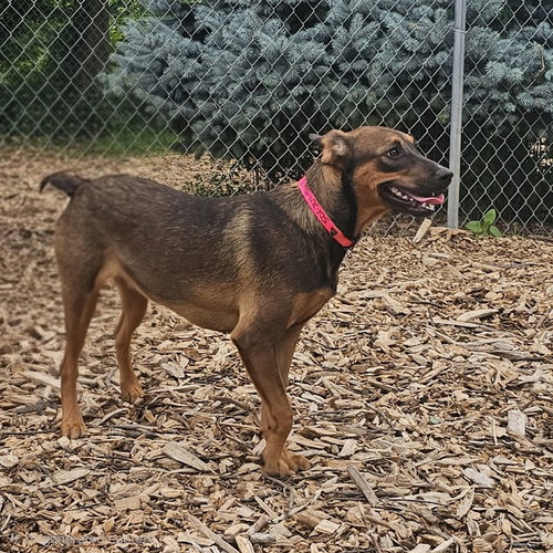 Mabel photo 4
