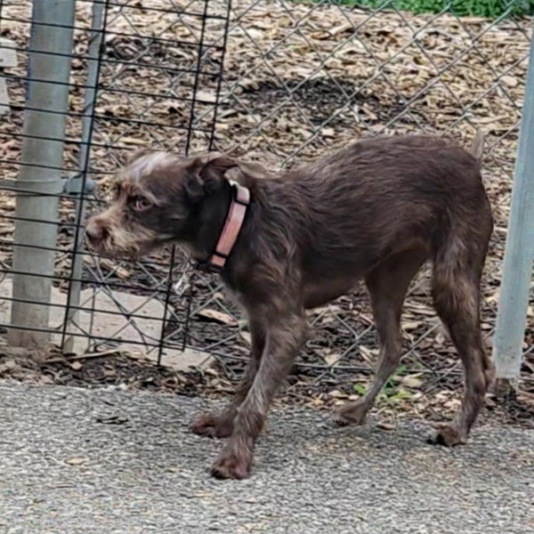 Millie