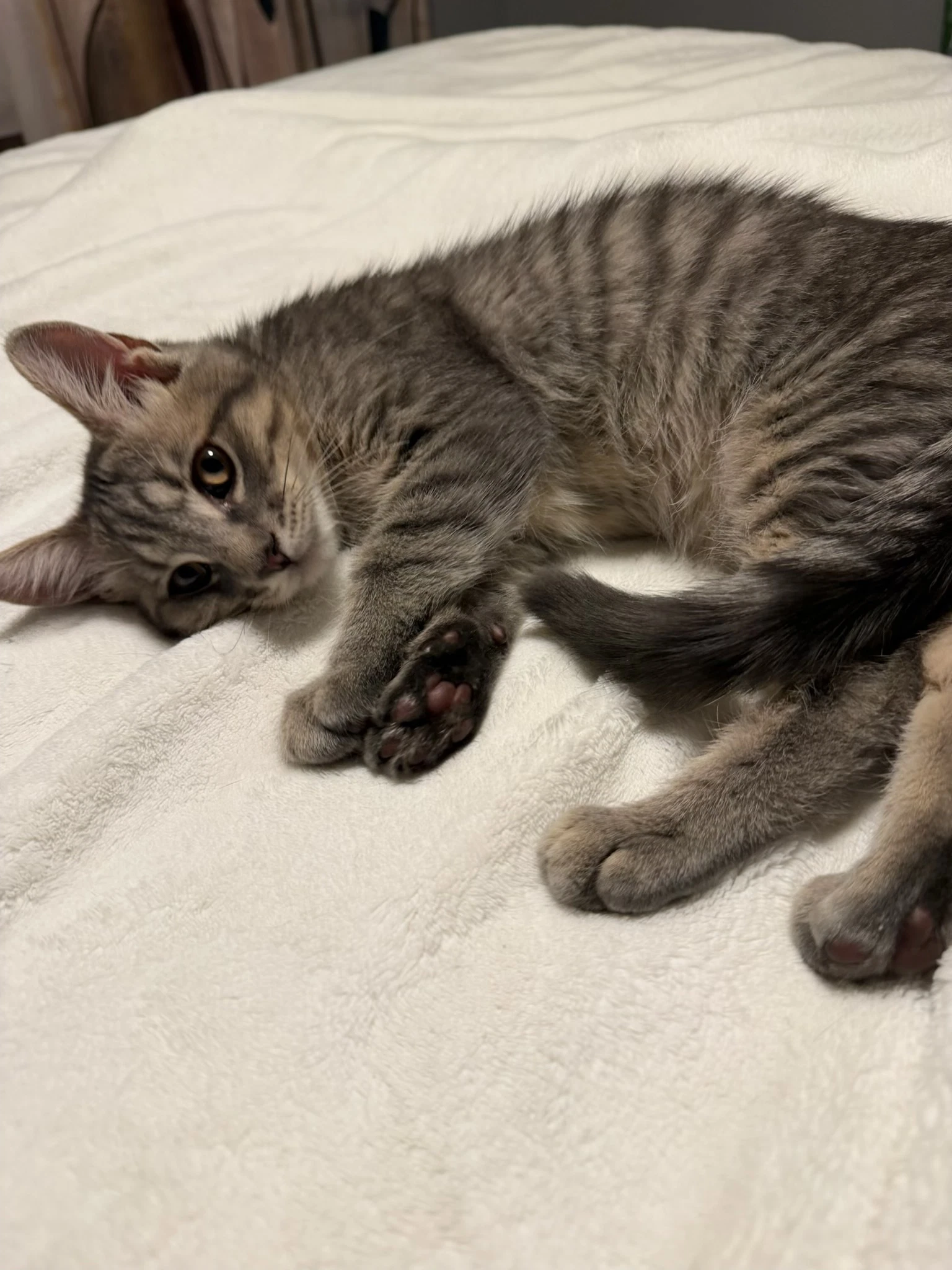 Clyde