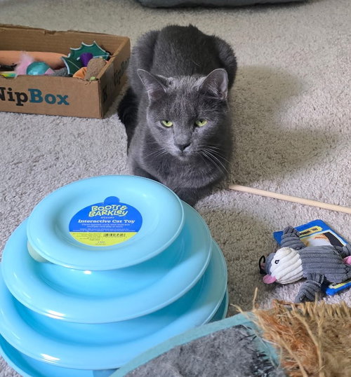 Photo 3 of Topaz