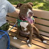 Allie - Photo 11