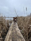 Allie - Photo 20