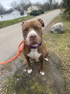 Allie - Photo 21