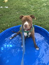 Allie - Photo 19