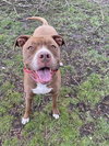 Allie - Photo 9