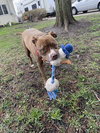 Allie - Photo 14