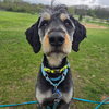 Odin - Photo 6