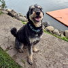 Odin - Photo 1
