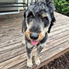 Odin - Photo 5