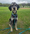 Odin - Photo 7