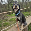 Odin - Photo 8