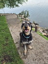 Odin - Photo 9