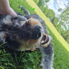 Odin - Photo 3