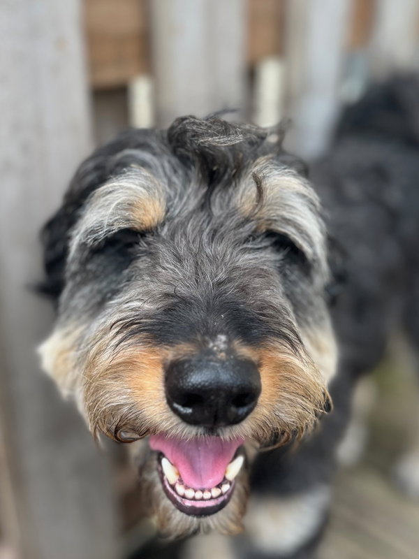 Odin