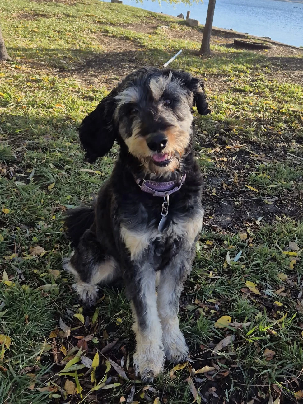 Odin