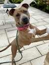 Gigi - Photo 4