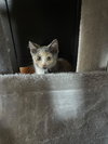 Donut - Photo 13