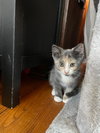 Donut - Photo 12