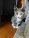 Donut - Photo 11