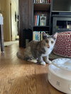 Donut - Photo 6