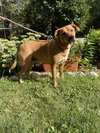 Sasha - Photo 8
