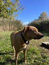 Sasha - Photo 6