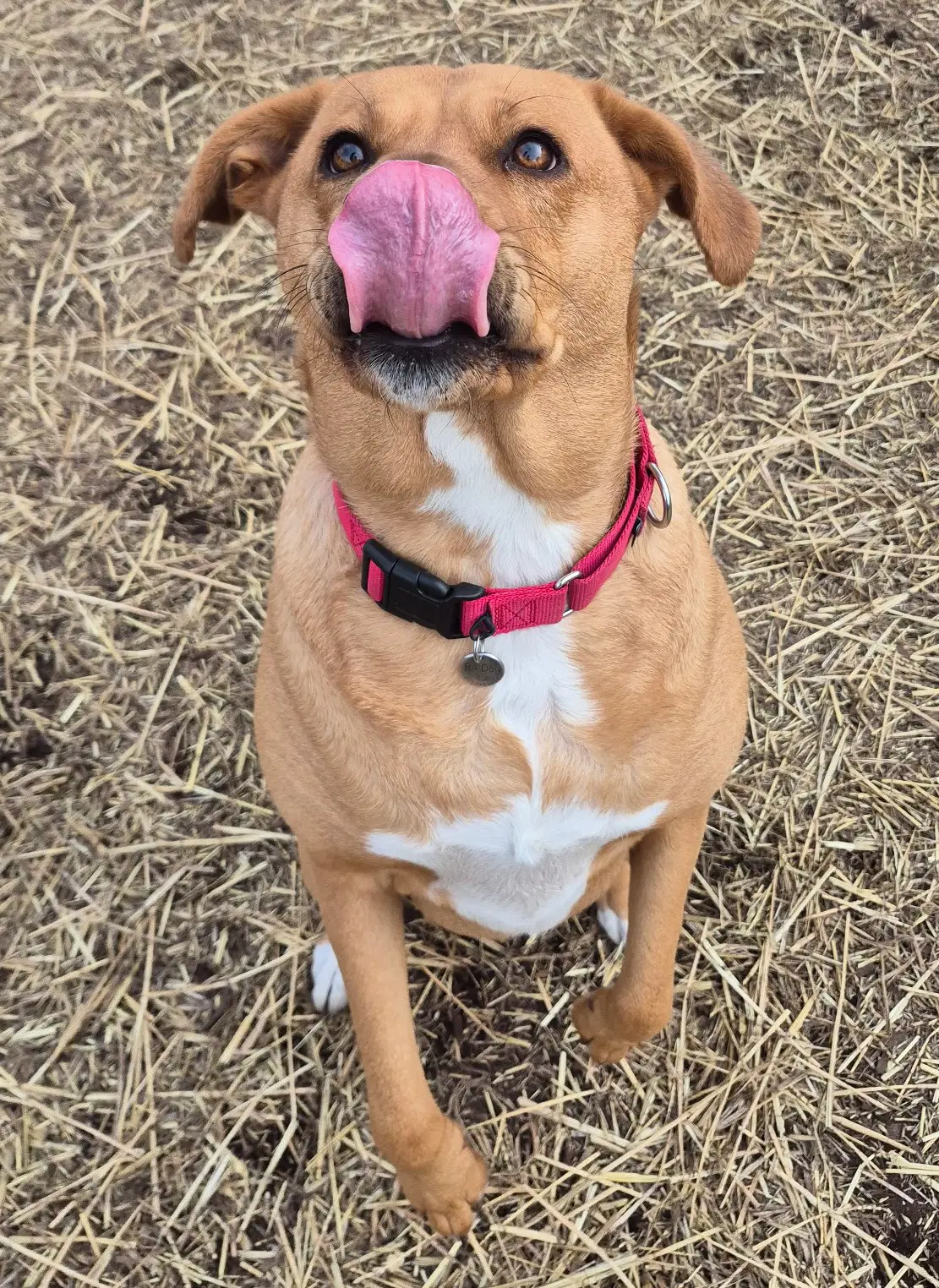 Sasha image 2