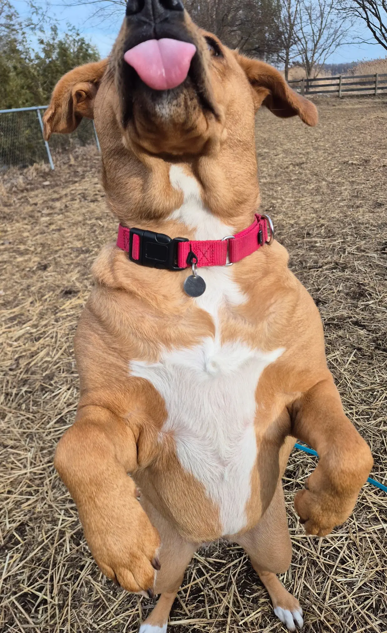 Sasha image 3